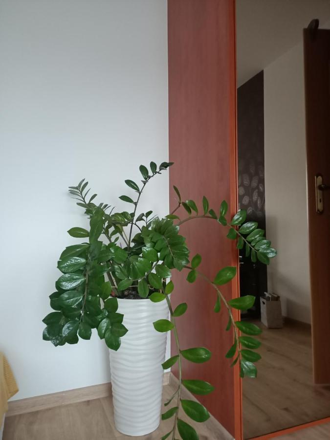 שצ'צ'ין Pomaranczowa Apartment מראה חיצוני תמונה
